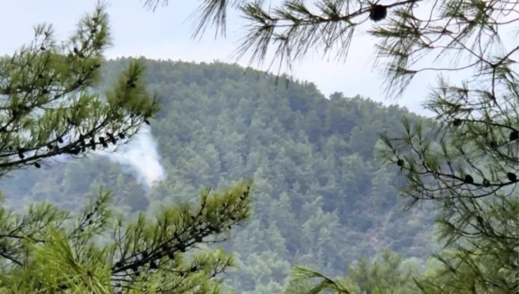 Muğla’da Yıldırım Kaynaklı Orman Yangınları